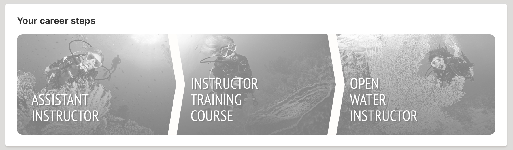 Training Log: Preparing for the Dive Instructor Pathway (Skills, Gear ...